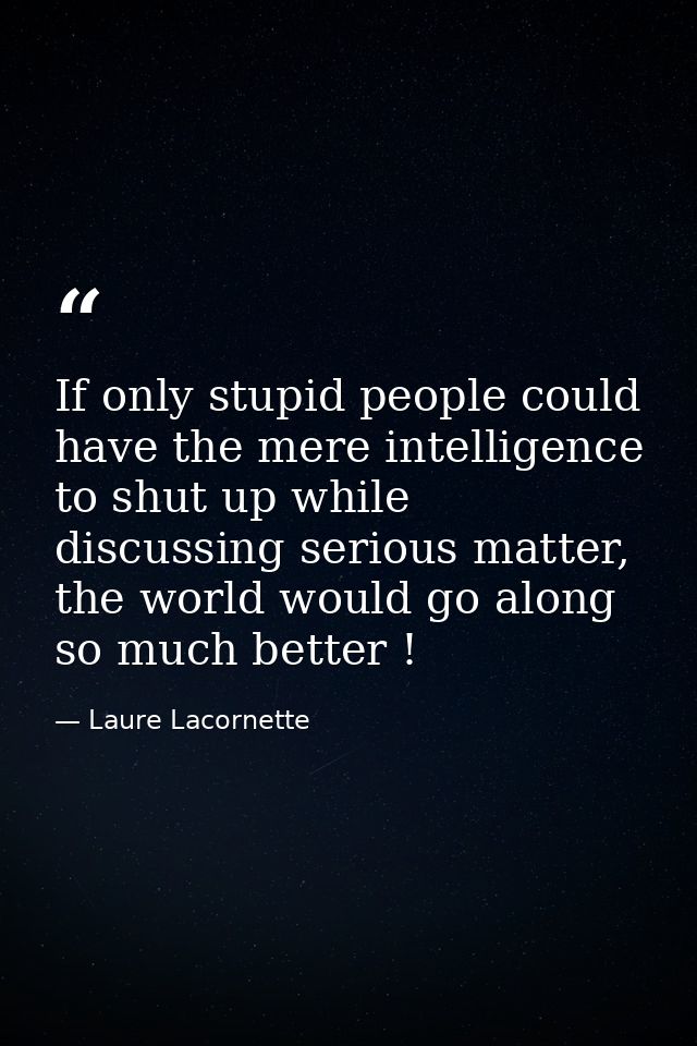 If only stupid people could have the mere intelligence to shut up while discussing serious matter, the world would go al — Laure Lacornette