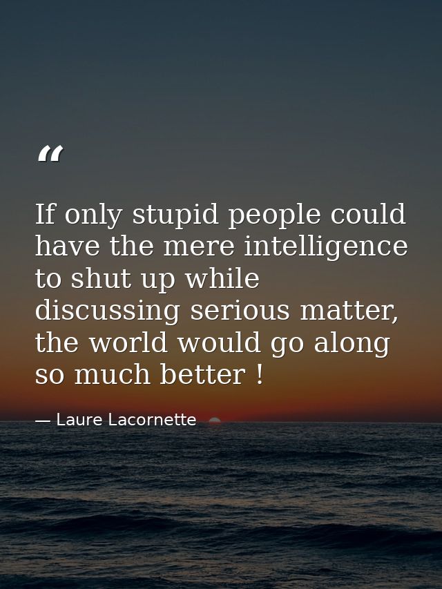 If only stupid people could have the mere intelligence to shut up while discussing serious matter, the world would go al — Laure Lacornette