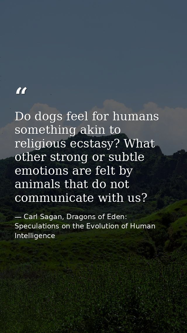 Do dogs feel for humans something akin to religious ecstasy? What other strong or subtle emotions are felt by animals th — Carl Sagan, Dragons of Eden: Speculations on the Evolution of Human Intelligence