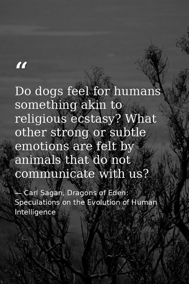 Do dogs feel for humans something akin to religious ecstasy? What other strong or subtle emotions are felt by animals th — Carl Sagan, Dragons of Eden: Speculations on the Evolution of Human Intelligence