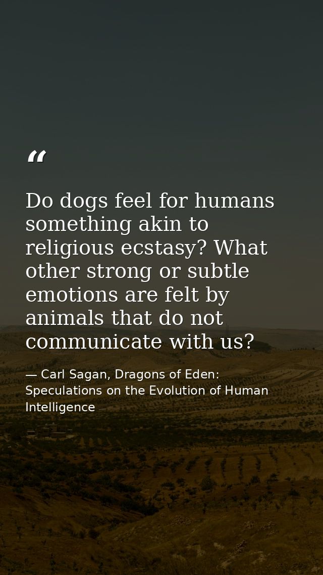 Do dogs feel for humans something akin to religious ecstasy? What other strong or subtle emotions are felt by animals th — Carl Sagan, Dragons of Eden: Speculations on the Evolution of Human Intelligence