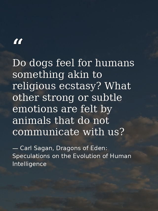 Do dogs feel for humans something akin to religious ecstasy? What other strong or subtle emotions are felt by animals th — Carl Sagan, Dragons of Eden: Speculations on the Evolution of Human Intelligence