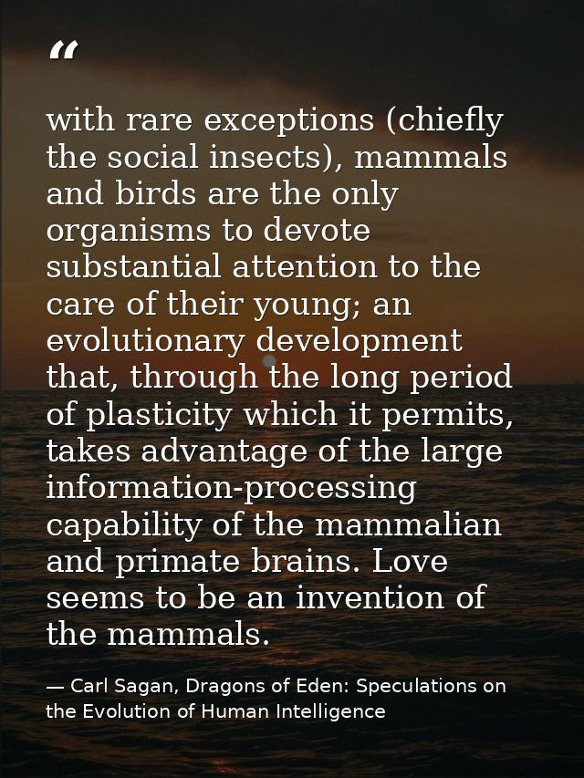 with rare exceptions (chiefly the social insects), mammals and birds are the only organisms to devote substantial attent — Carl Sagan, Dragons of Eden: Speculations on the Evolution of Human Intelligence