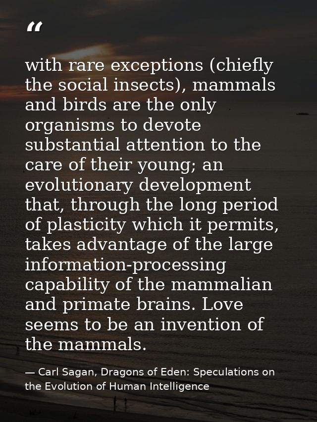 with rare exceptions (chiefly the social insects), mammals and birds are the only organisms to devote substantial attent — Carl Sagan, Dragons of Eden: Speculations on the Evolution of Human Intelligence