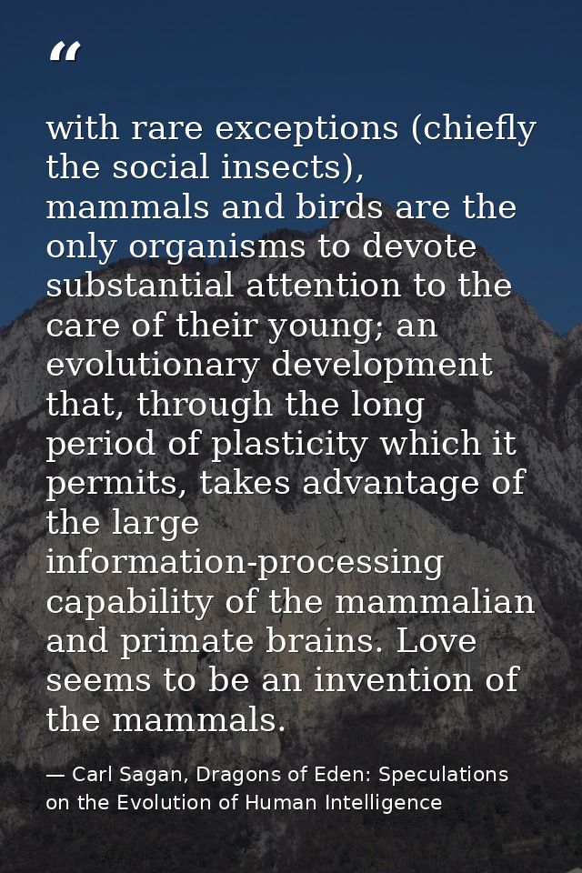 with rare exceptions (chiefly the social insects), mammals and birds are the only organisms to devote substantial attent — Carl Sagan, Dragons of Eden: Speculations on the Evolution of Human Intelligence