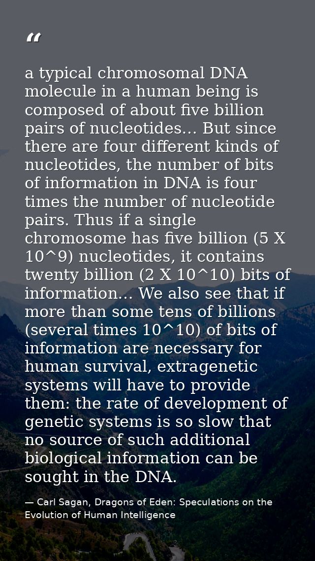 a typical chromosomal DNA molecule in a human being is composed of about five billion pairs of nucleotides… But since th — Carl Sagan, Dragons of Eden: Speculations on the Evolution of Human Intelligence