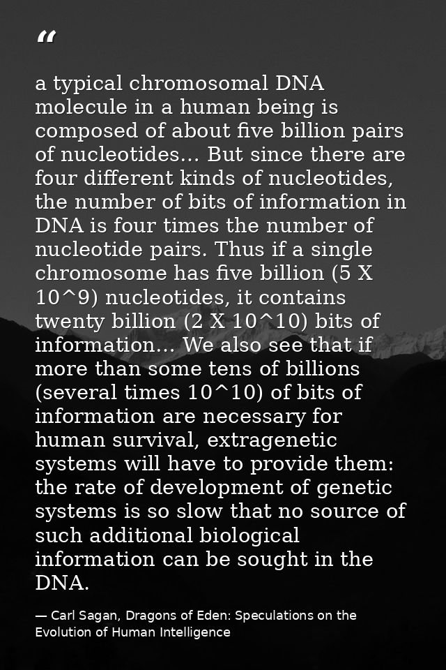 a typical chromosomal DNA molecule in a human being is composed of about five billion pairs of nucleotides… But since th — Carl Sagan, Dragons of Eden: Speculations on the Evolution of Human Intelligence