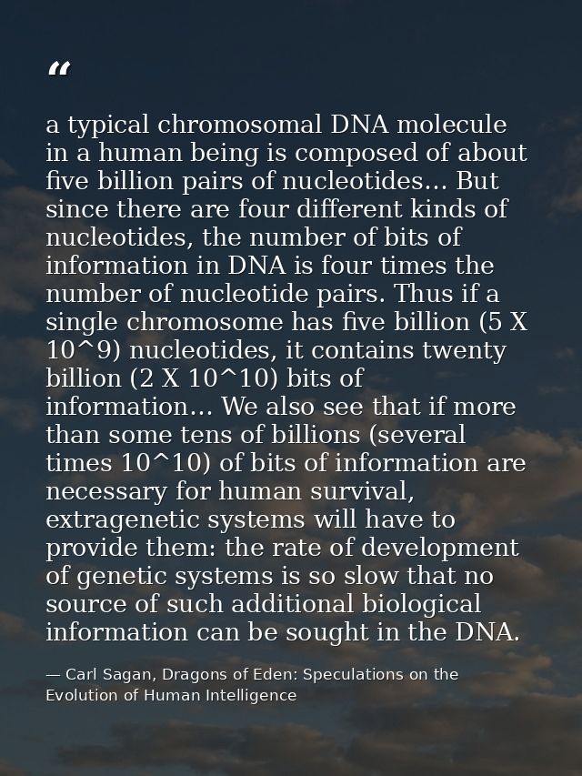 a typical chromosomal DNA molecule in a human being is composed of about five billion pairs of nucleotides… But since th — Carl Sagan, Dragons of Eden: Speculations on the Evolution of Human Intelligence
