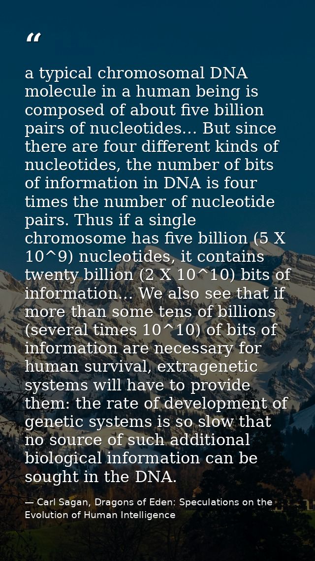 a typical chromosomal DNA molecule in a human being is composed of about five billion pairs of nucleotides… But since th — Carl Sagan, Dragons of Eden: Speculations on the Evolution of Human Intelligence