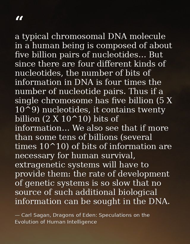 a typical chromosomal DNA molecule in a human being is composed of about five billion pairs of nucleotides… But since th — Carl Sagan, Dragons of Eden: Speculations on the Evolution of Human Intelligence
