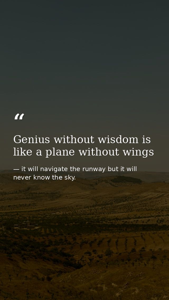 Genius without wisdom is like a plane without wings — it will navigate the runway but it will never know the sky.