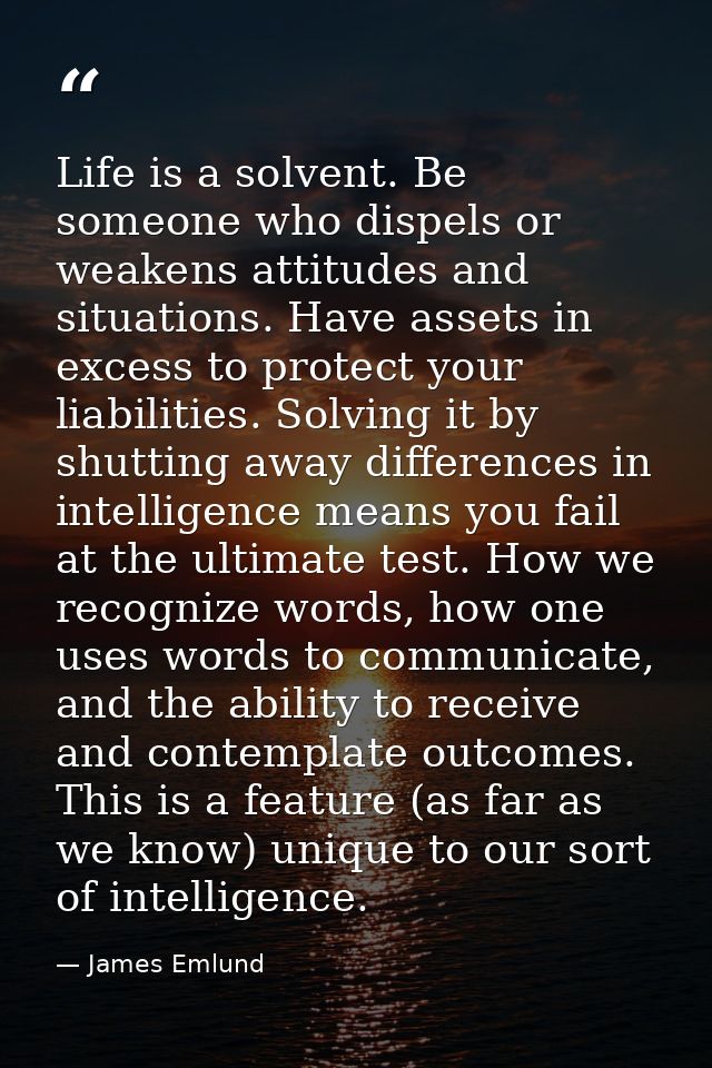Life is a solvent. Be someone who dispels or weakens attitudes and situations. Have assets in excess to protect your lia — James Emlund