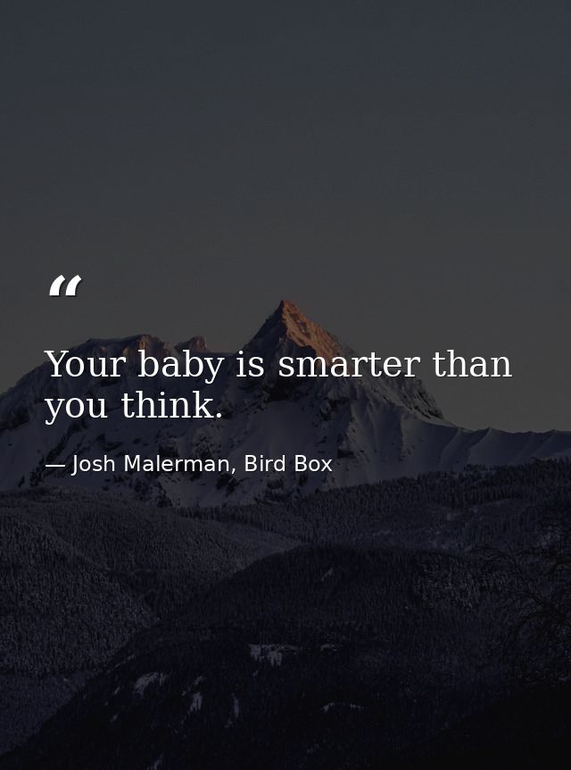Your baby is smarter than you think. — Josh Malerman, Bird Box