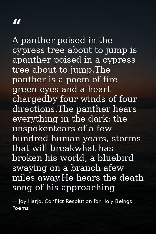 A panther poised in the cypress tree about to jump is apanther poised in a cypress tree about to jump.The panther is a p — Joy Harjo, Conflict Resolution for Holy Beings: Poems
