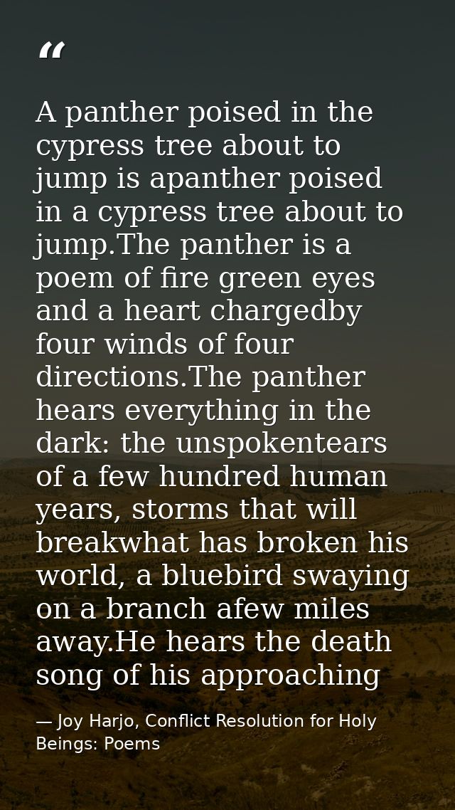 A panther poised in the cypress tree about to jump is apanther poised in a cypress tree about to jump.The panther is a p — Joy Harjo, Conflict Resolution for Holy Beings: Poems