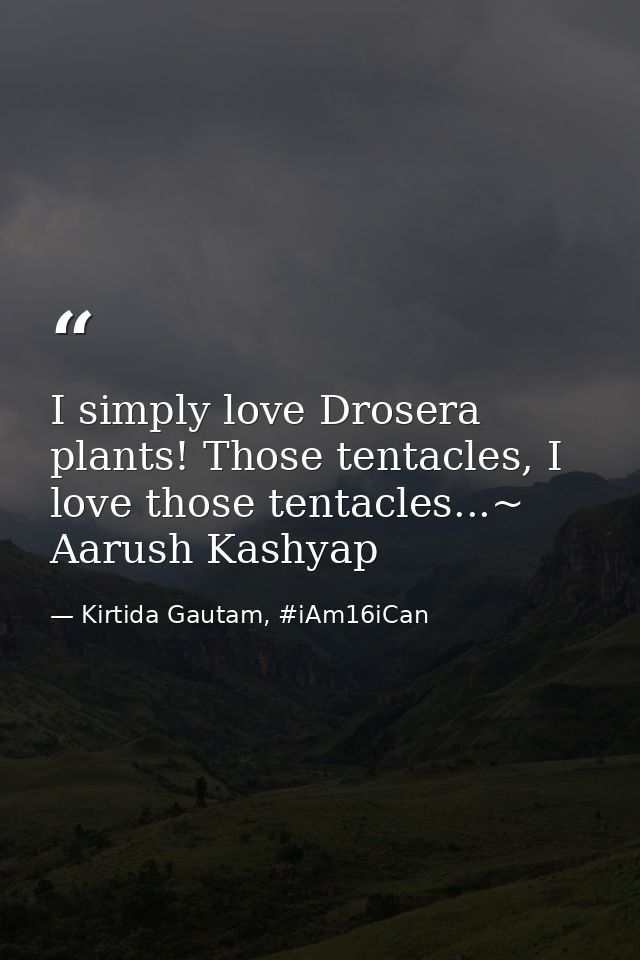 I simply love Drosera plants! Those tentacles, I love those tentacles...~ Aarush Kashyap — Kirtida Gautam, #iAm16iCan