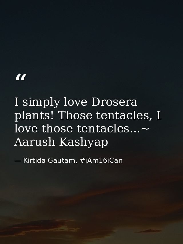 I simply love Drosera plants! Those tentacles, I love those tentacles...~ Aarush Kashyap — Kirtida Gautam, #iAm16iCan