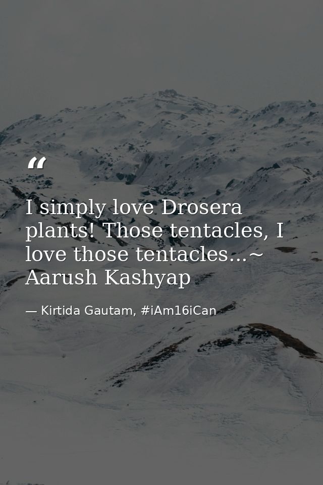 I simply love Drosera plants! Those tentacles, I love those tentacles...~ Aarush Kashyap — Kirtida Gautam, #iAm16iCan