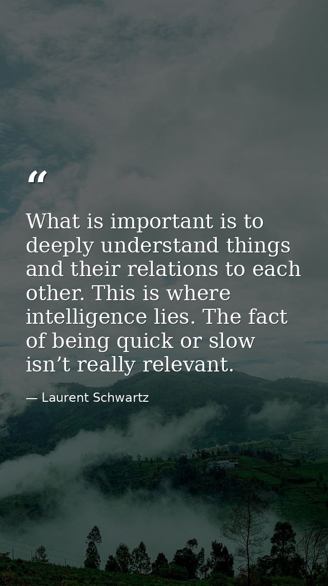 What is important is to deeply understand things and their relations to each other. This is where intelligence lies. The — Laurent Schwartz