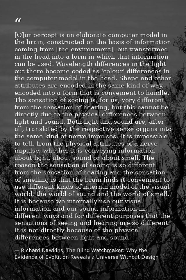 [O]ur percept is an elaborate computer model in the brain, constructed on the basis of information coming from [the envi — Richard Dawkins, The Blind Watchmaker: Why the Evidence of Evolution Reveals a Universe Without Design