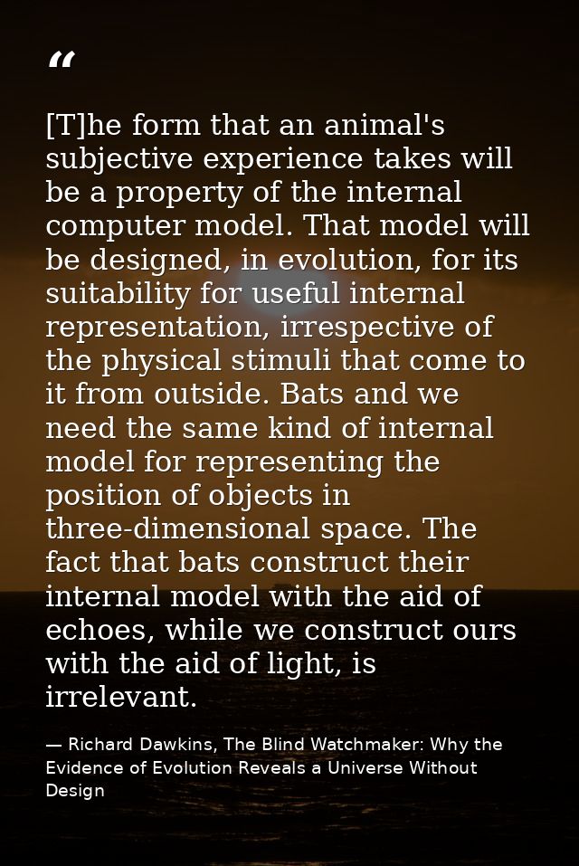 [T]he form that an animal's subjective experience takes will be a property of the internal computer model. That model wi — Richard Dawkins, The Blind Watchmaker: Why the Evidence of Evolution Reveals a Universe Without Design