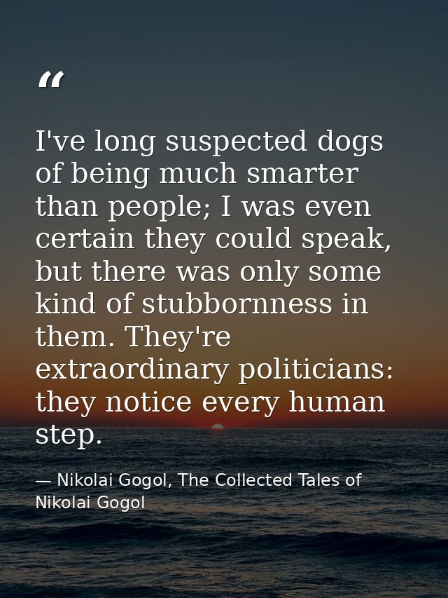 I've long suspected dogs of being much smarter than people; I was even certain they could speak, but there was only some — Nikolai Gogol, The Collected Tales of Nikolai Gogol