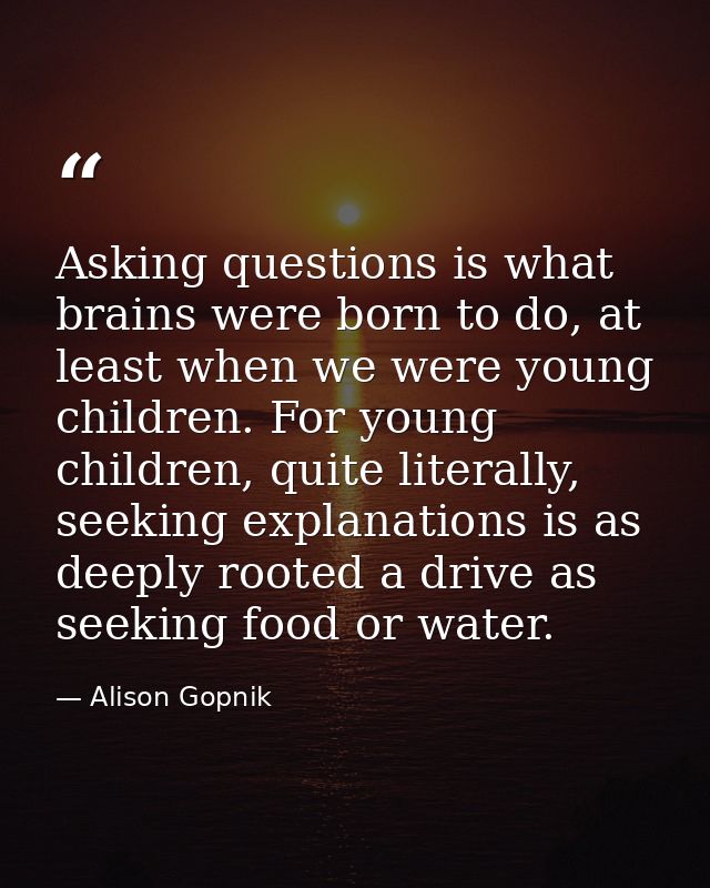 Asking questions is what brains were born to do, at least when we were young children. For young children, quite literal — Alison Gopnik