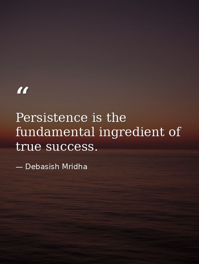 Persistence is the fundamental ingredient of true success. — Debasish Mridha