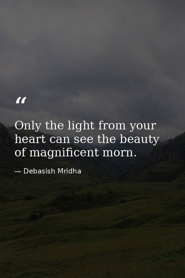 Only the light from your heart can see the beauty of magnificent morn. — Debasish Mridha
