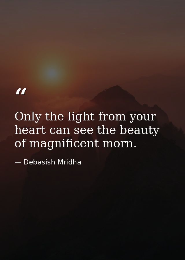 Only the light from your heart can see the beauty of magnificent morn. — Debasish Mridha
