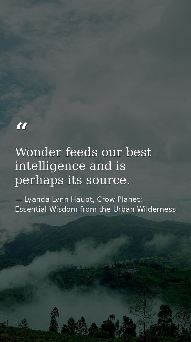 Wonder feeds our best intelligence and is perhaps its source. — Lyanda Lynn Haupt, Crow Planet: Essential Wisdom from the Urban Wilderness