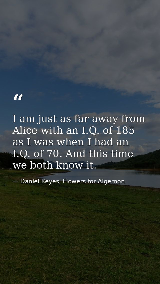 I am just as far away from Alice with an I.Q. of 185 as I was when I had an I.Q. of 70. And this time we both know it. — Daniel Keyes, Flowers for Algernon