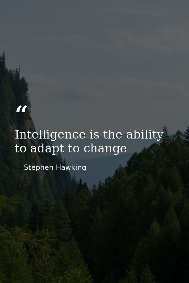 Intelligence is the ability to adapt to change — Stephen Hawking