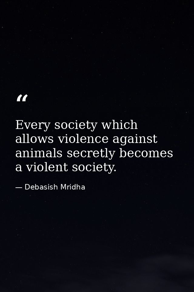 Every society which allows violence against animals secretly becomes a violent society. — Debasish Mridha