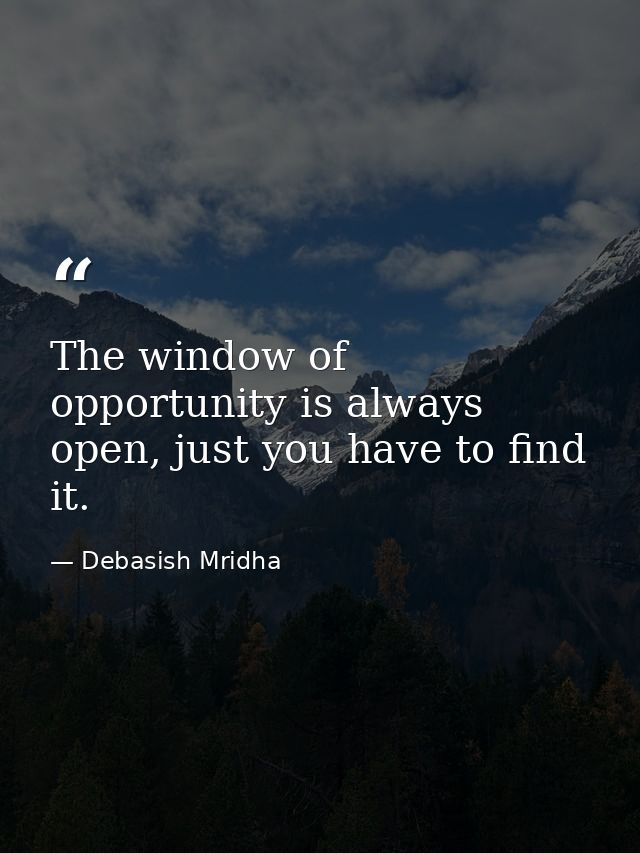 The window of opportunity is always open, just you have to find it. — Debasish Mridha