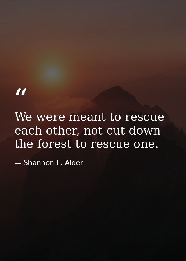 We were meant to rescue each other, not cut down the forest to rescue one. — Shannon L. Alder
