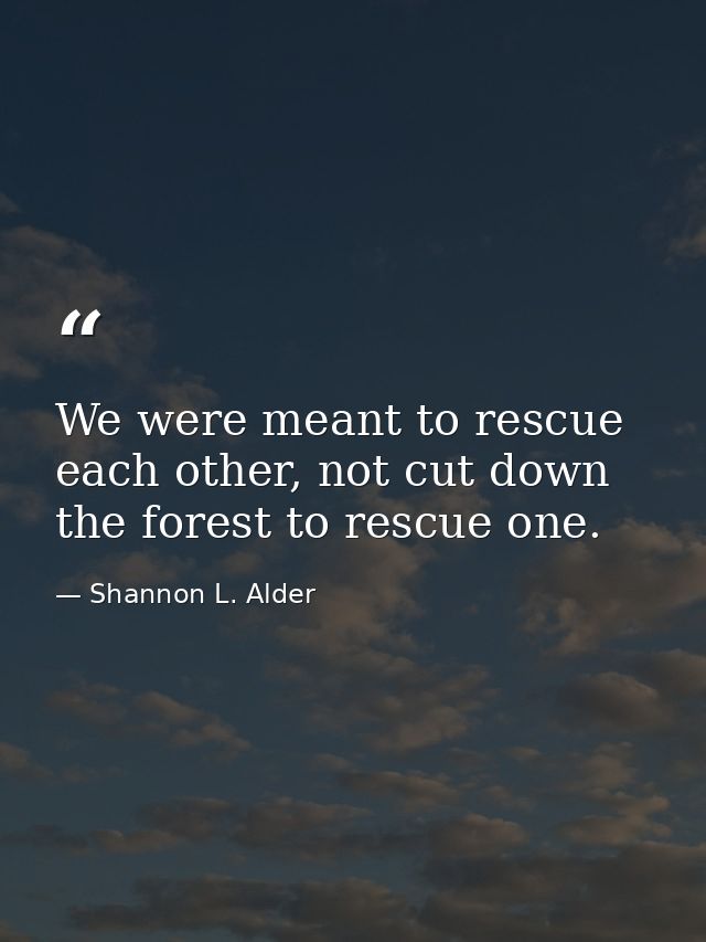 We were meant to rescue each other, not cut down the forest to rescue one. — Shannon L. Alder