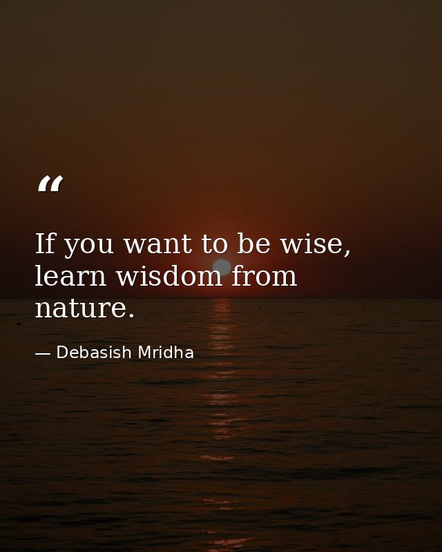 If you want to be wise, learn wisdom from nature. — Debasish Mridha
