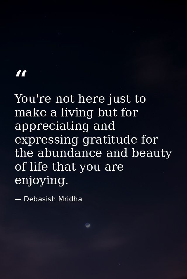 You're not here just to make a living but for appreciating and expressing gratitude for the abundance and beauty of life — Debasish Mridha