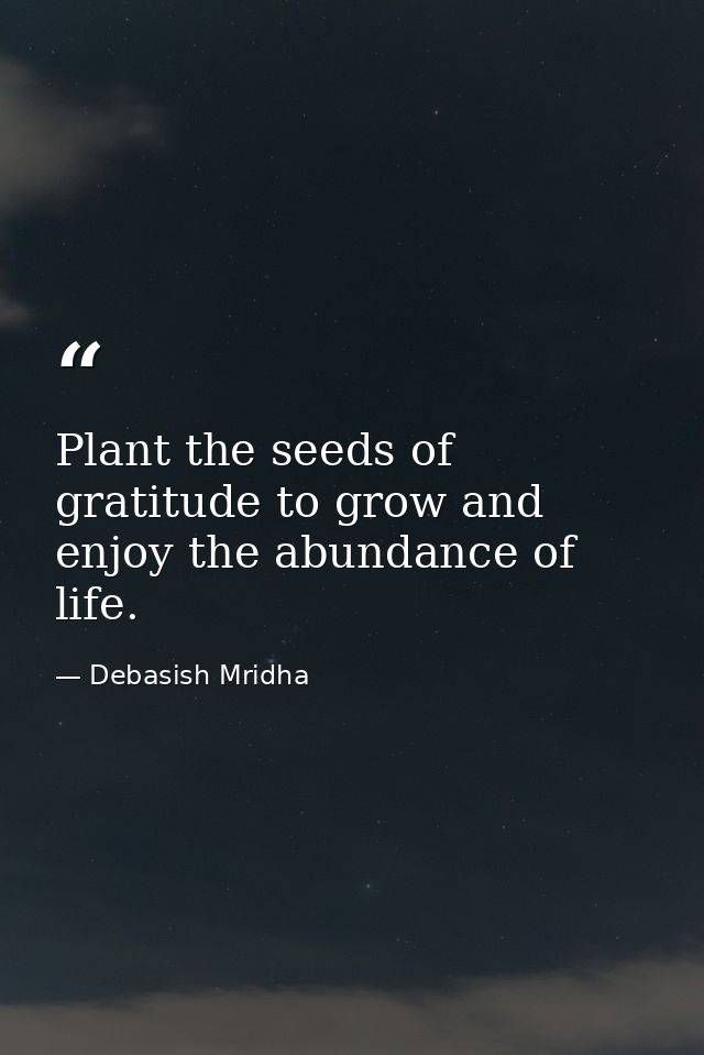 Plant the seeds of gratitude to grow and enjoy the abundance of life. — Debasish Mridha