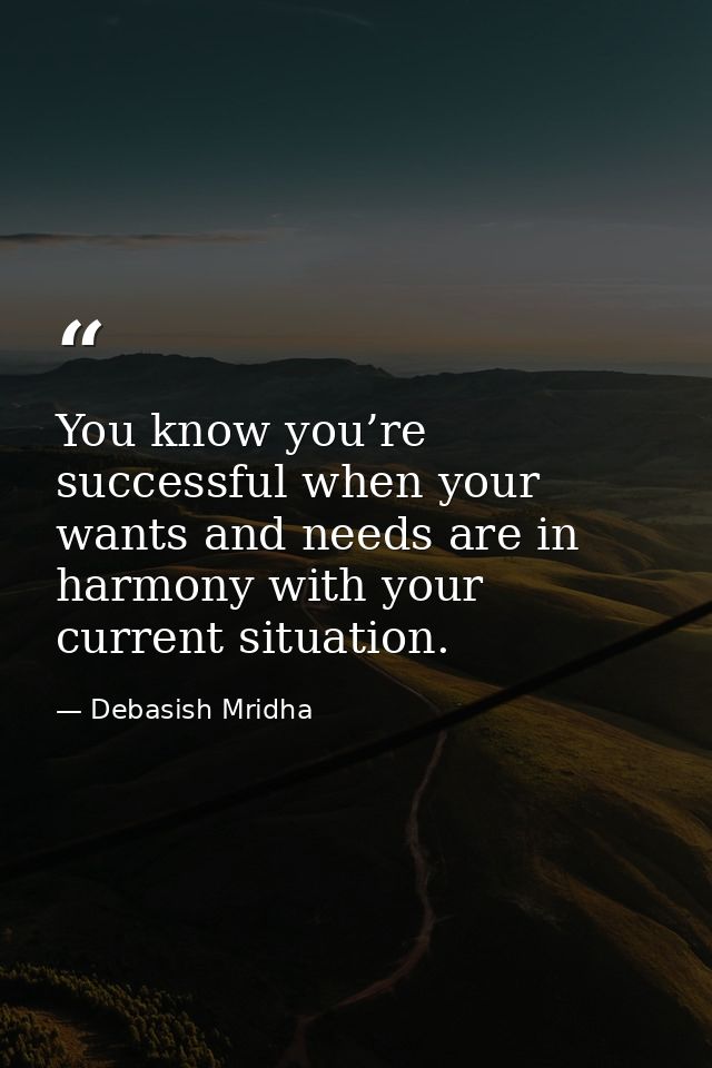 You know you’re successful when your wants and needs are in harmony with your current situation. — Debasish Mridha