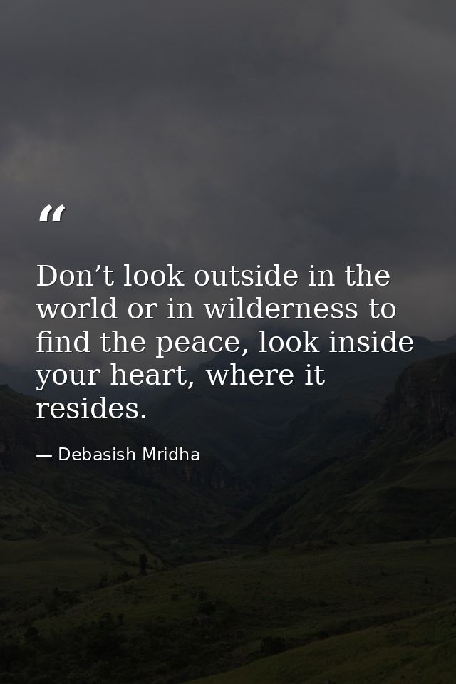 Don’t look outside in the world or in wilderness to find the peace, look inside your heart, where it resides. — Debasish Mridha