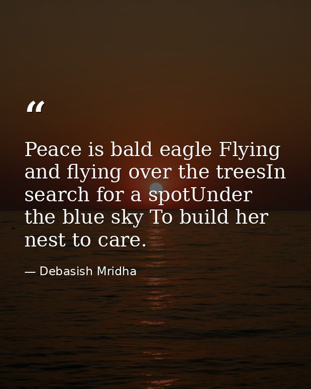 Peace is bald eagle Flying and flying over the treesIn search for a spotUnder the blue sky To build her nest to care. — Debasish Mridha
