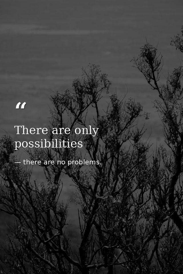 There are only possibilities — there are no problems.