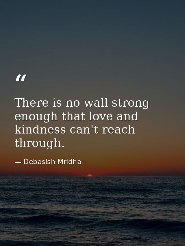 There is no wall strong enough that love and kindness can't reach through. — Debasish Mridha