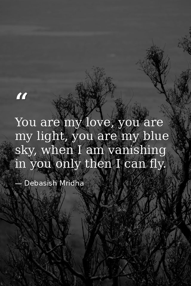 You are my love, you are my light, you are my blue sky, when I am vanishing in you only then I can fly. — Debasish Mridha