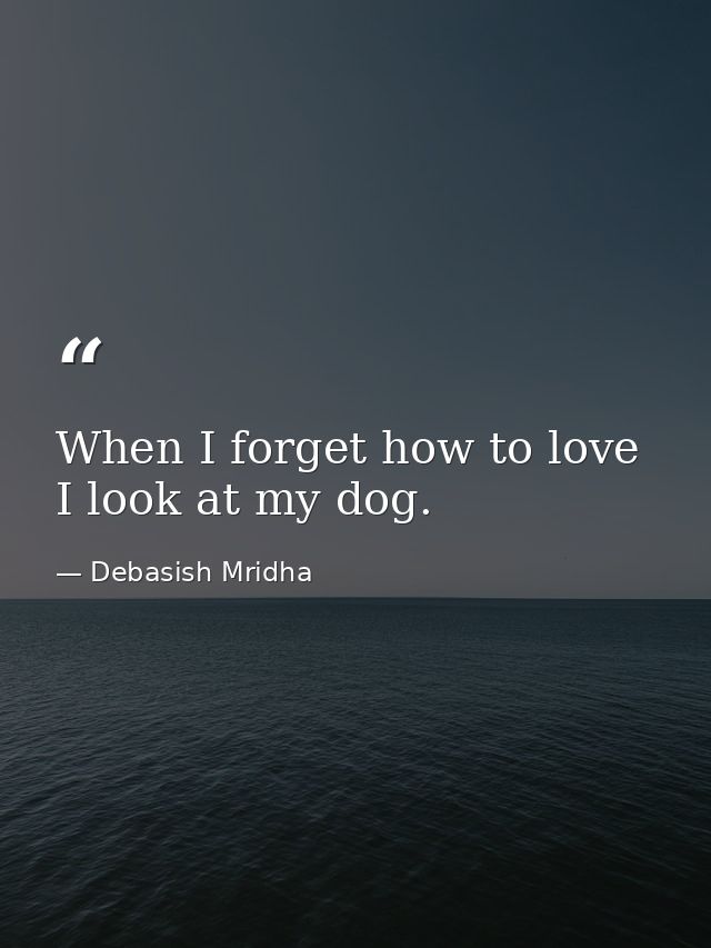 When I forget how to love I look at my dog. — Debasish Mridha