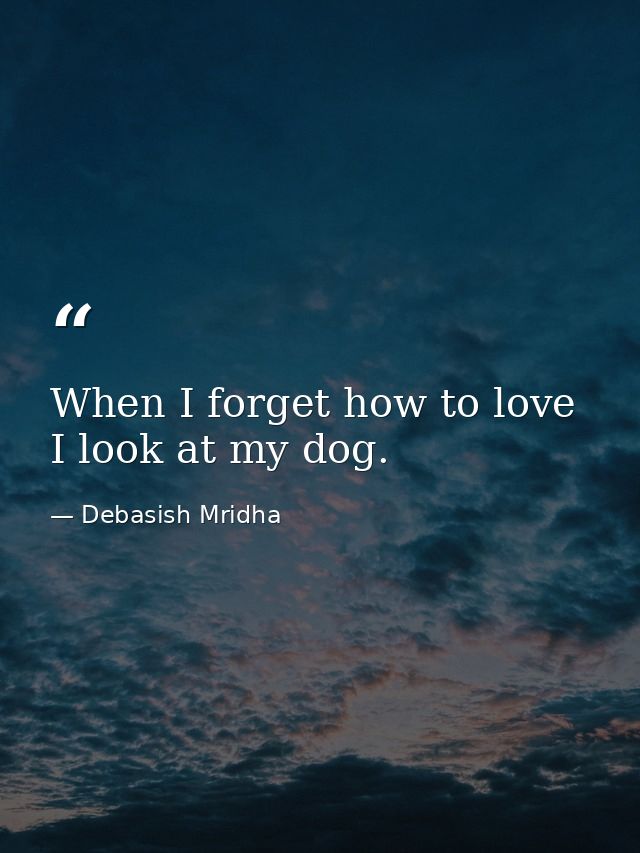 When I forget how to love I look at my dog. — Debasish Mridha