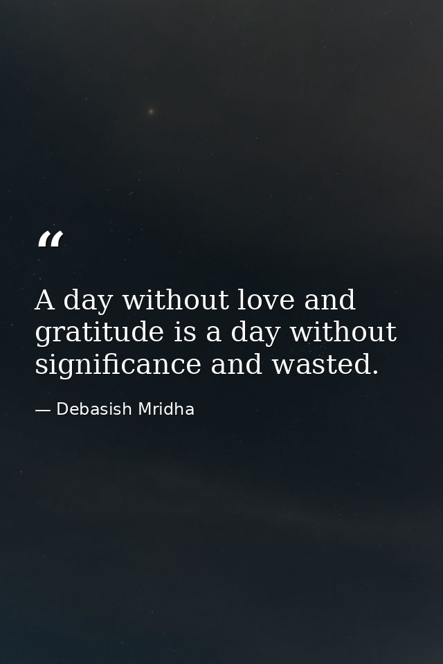 A day without love and gratitude is a day without significance and wasted. — Debasish Mridha