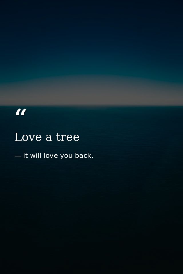 Love a tree — it will love you back.